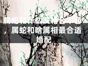 属蛇和什么属相合不合，属蛇和啥属相最合适婚配