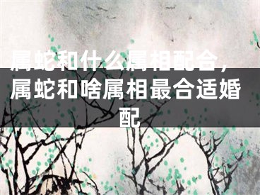 属蛇和什么属相配合，属蛇和啥属相最合适婚配