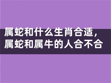 属蛇和什么生肖合适,属蛇和属牛的人合不合