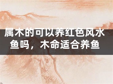 属木的可以养红色风水鱼吗，木命适合养鱼