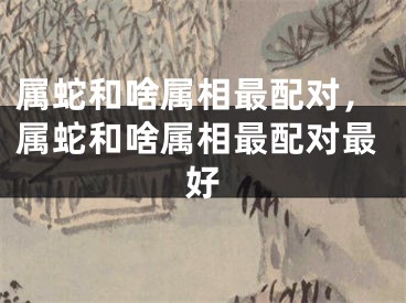 属蛇和啥属相最配对，属蛇和啥属相最配对最好