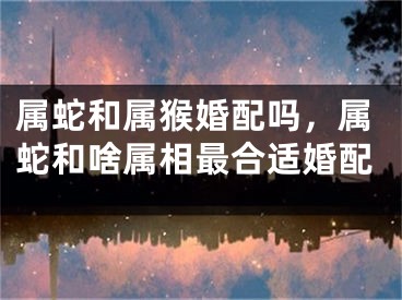 属蛇和属猴婚配吗，属蛇和啥属相最合适婚配