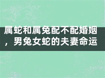 属蛇和属兔配不配婚姻，男兔女蛇的夫妻命运