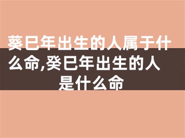 葵巳年出生的人属于什么命,癸巳年出生的人是什么命
