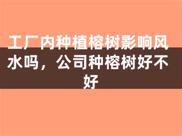 工厂内种植榕树影响风水吗,公司种榕树好不好