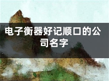 电子衡器好记顺口的公司名字