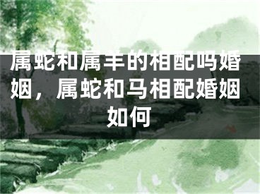 属蛇和属羊的相配吗婚姻，属蛇和马相配婚姻如何
