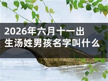 2026年六月十一出生汤姓男孩名字叫什么
