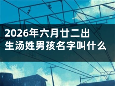 2026年六月廿二出生汤姓男孩名字叫什么