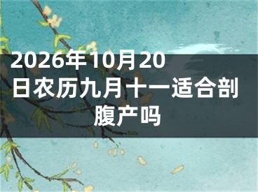2026年10月20日农历九月十一适合剖腹产吗