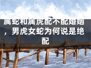 属蛇和属虎配不配婚姻,男虎女蛇为何说是绝配