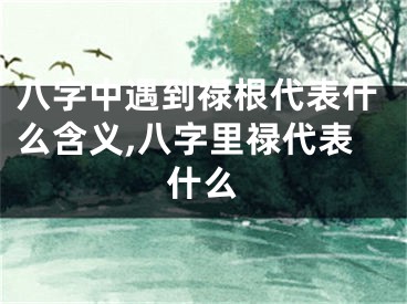 八字中遇到禄根代表什么含义,八字里禄代表什么