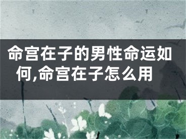 命宫在子的男性命运如何,命宫在子怎么用