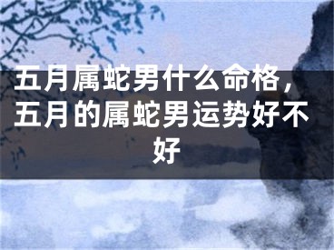 五月属蛇男什么命格，五月的属蛇男运势好不好