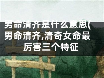 男命清齐是什么意思(男命清齐,清奇女命最厉害三个特征