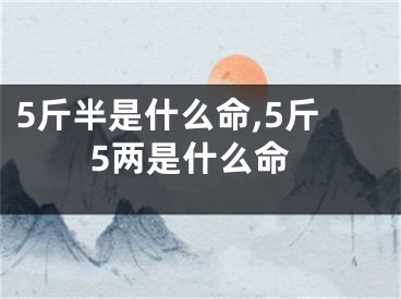 5斤半是什么命,5斤5两是什么命