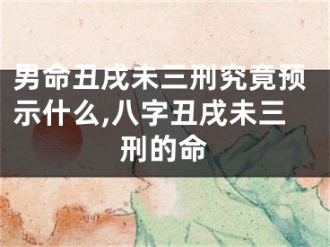 男命丑戌未三刑究竟预示什么,八字丑戌未三刑的命