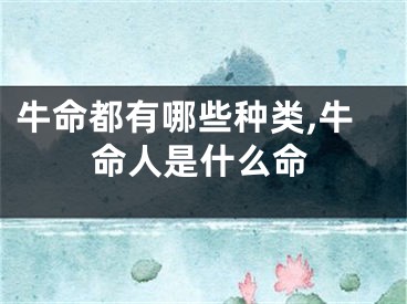 牛命都有哪些种类,牛命人是什么命