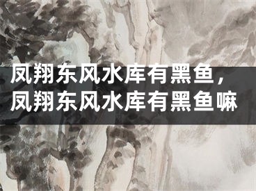 凤翔东风水库有黑鱼，凤翔东风水库有黑鱼嘛