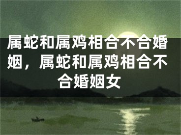 属蛇和属鸡相合不合婚姻，属蛇和属鸡相合不合婚姻女