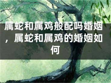 属蛇和属鸡般配吗婚姻，属蛇和属鸡的婚姻如何