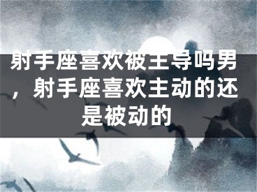 射手座喜欢被主导吗男，射手座喜欢主动的还是被动的