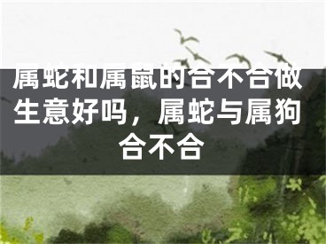 属蛇和属鼠的合不合做生意好吗，属蛇与属狗合不合