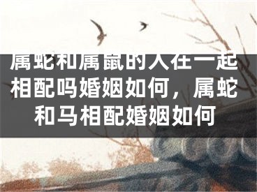 属蛇和属鼠的人在一起相配吗婚姻如何，属蛇和马相配婚姻如何