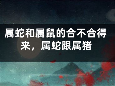属蛇和属鼠的合不合得来，属蛇跟属猪