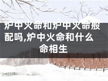 炉中火命和炉中火命般配吗,炉中火命和什么命相生