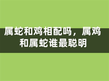 属蛇和鸡相配吗，属鸡和属蛇谁最聪明