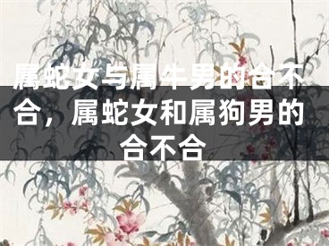 属蛇女与属牛男的合不合，属蛇女和属狗男的合不合