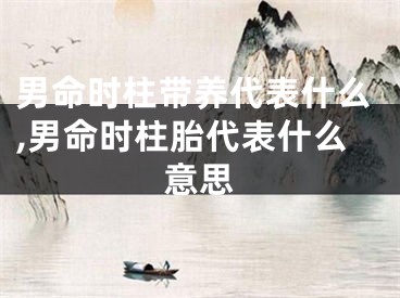 男命时柱带养代表什么,男命时柱胎代表什么意思