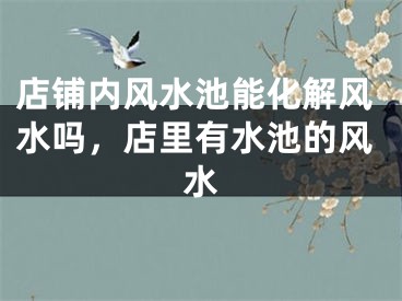 店铺内风水池能化解风水吗,店里有水池的风水