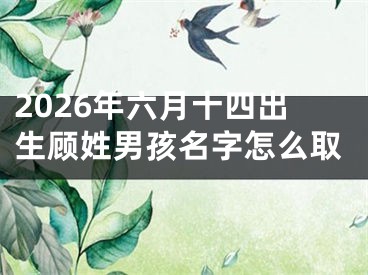 2026年六月十四出生顾姓男孩名字怎么取