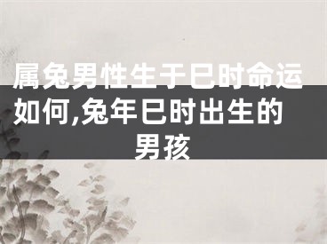 属兔男性生于巳时命运如何,兔年巳时出生的男孩