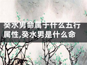 癸水男命属于什么五行属性,癸水男是什么命