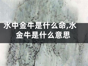 水中金牛是什么命,水金牛是什么意思