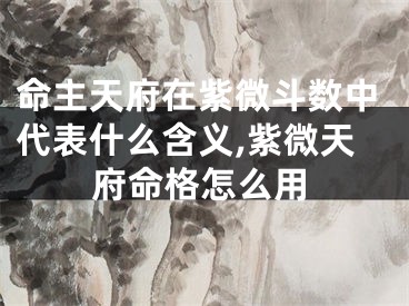 命主天府在紫微斗数中代表什么含义,紫微天府命格怎么用