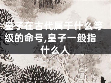 皇子在古代属于什么等级的命号,皇子一般指什么人