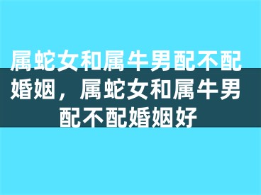属蛇女和属牛男配不配婚姻，属蛇女和属牛男配不配婚姻好
