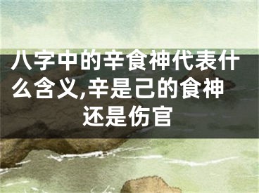 八字中的辛食神代表什么含义,辛是己的食神还是伤官