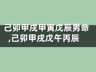 己卯甲戌甲寅戊辰男命,己卯甲戌戊午丙辰