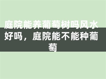 庭院能养葡萄树吗风水好吗,庭院能不能种葡萄