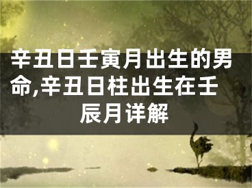 辛丑日壬寅月出生的男命,辛丑日柱出生在壬辰月详解