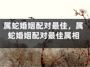 属蛇婚姻配对最佳，属蛇婚姻配对最佳属相