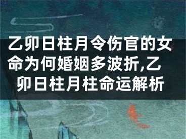 乙卯日柱月令伤官的女命为何婚姻多波折,乙卯日柱月柱命运解析
