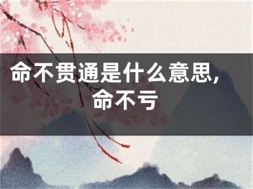 命不贯通是什么意思,命不亏