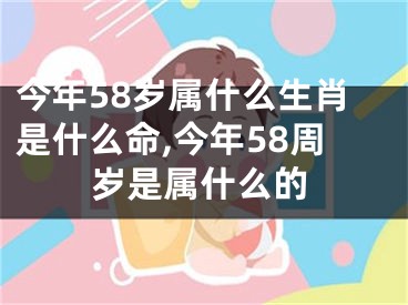 今年58岁属什么生肖是什么命,今年58周岁是属什么的