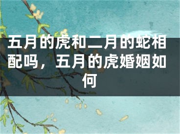 五月的虎和二月的蛇相配吗，五月的虎婚姻如何